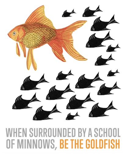 When Surrounded by a School of Minnows, Be the Goldfish
